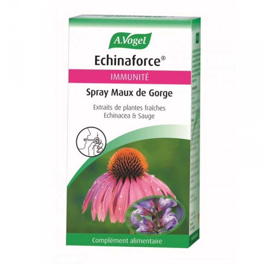 SPRAY GORGE ECHINACEE SAUGE