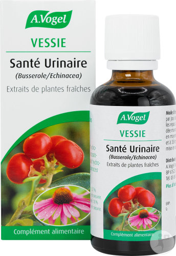 VESSIE SANTE URINAIRE